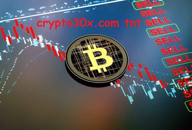 Crypto30x.com TNT